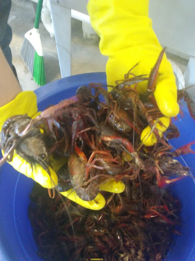 Cajun Crawfish Hut (Crawfish Port Barre) - Thumbnail