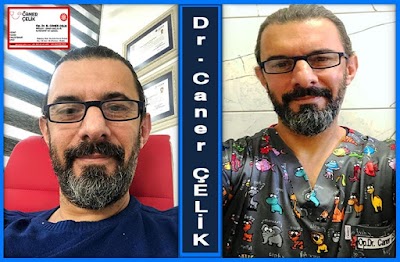Dr Caner Çelik