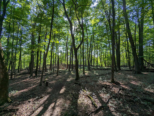 Pocantico Park