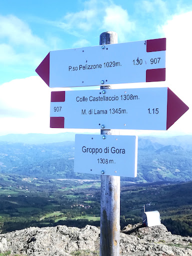 Groppo di Gora - Visual