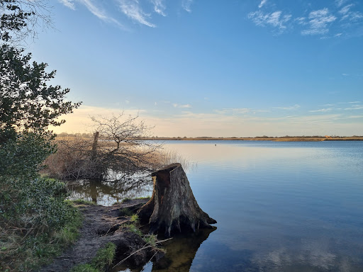 Martham Broad Nature Reserve - Thumbnail