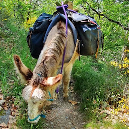 Photo n°20 de Rando-Ane à Alleyrac (Agence de voyages)