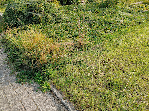 Jöllenbeck Cemetery