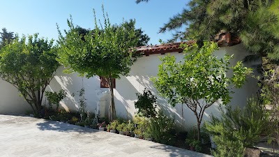 lodging