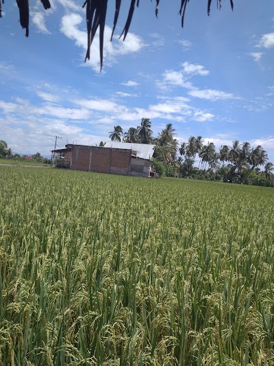 Photos of Gampong Mesjid Lancok