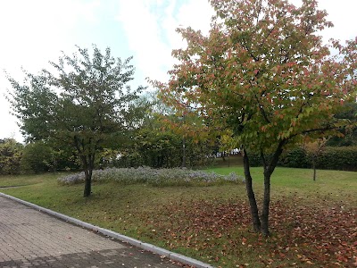 Photos of 정발공원