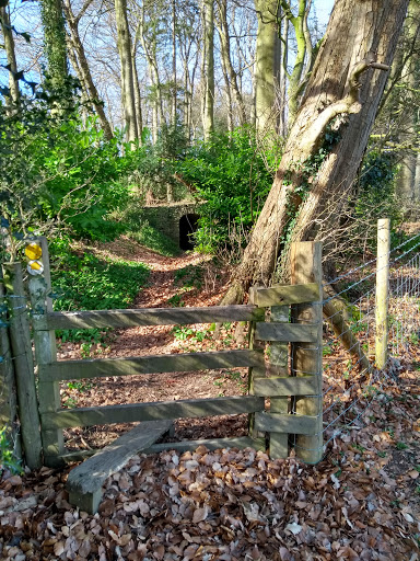 The tunnel at temple wood - Thumbnail