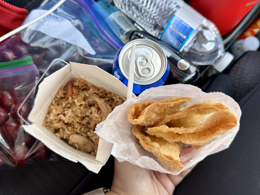 Fried Rice - Visual