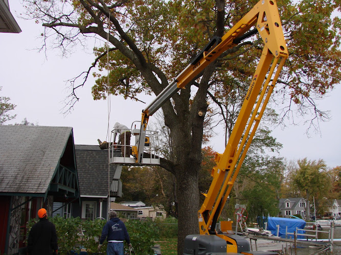 Jeff's Outdoor and Tree Services LLC