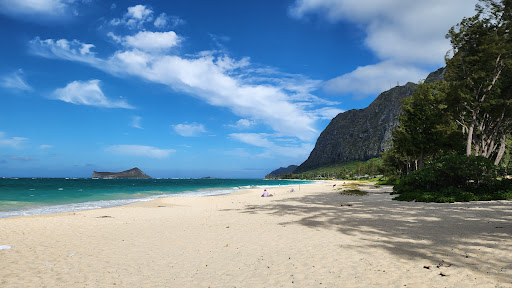 Waimanalo Beach Logo