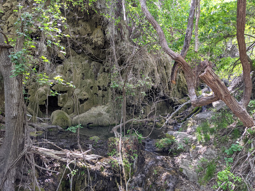 Gorman Falls - Visual
