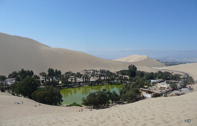 Laguna Huacachina