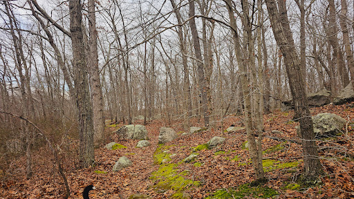 Hidden Lake Walking Trails Gallery - United States