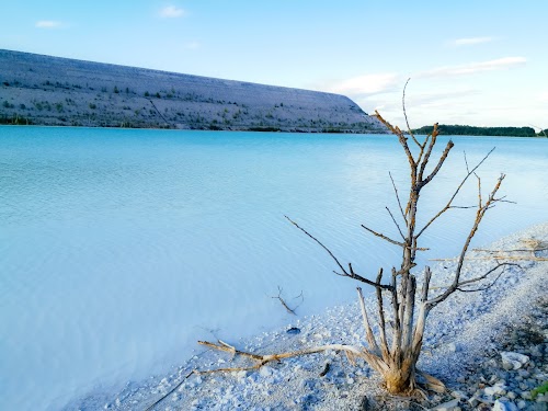 Eesti SEJ settebassein