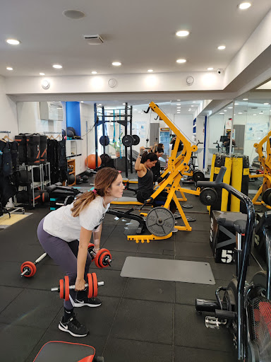 SHAPE UP Studio Personal - Visual