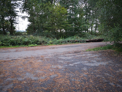 Wanderparkplatz Düpegraben - Thumbnail