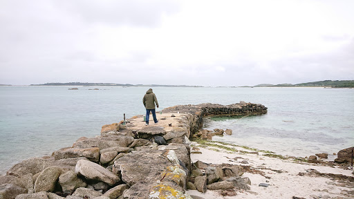Scilly Seal Snorkelling - Thumbnail