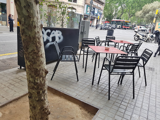 Bar Trafalgar 1
