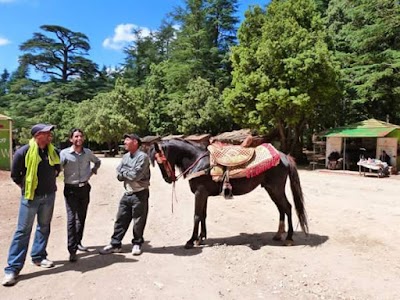 Photos of G&icirc;te Zaouiat