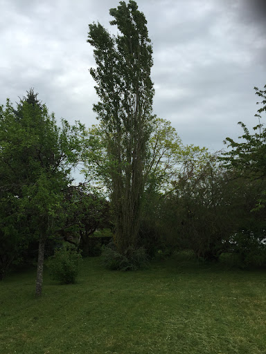 Photo de AQUA PAYSAGE à Vitry-en-Charollais (71600)