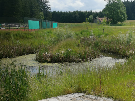 TC Mauerstetten