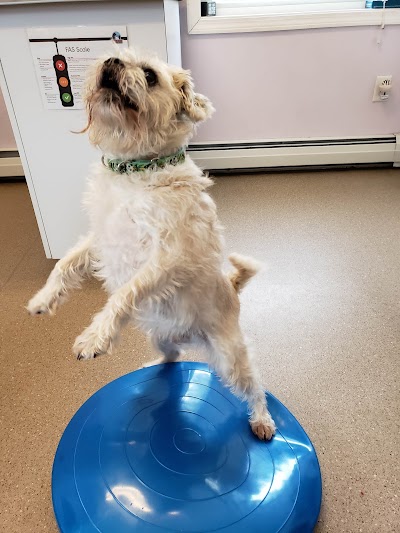 Suncook River Veterinary Clinic