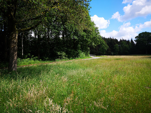Veendam Borgerswold - Thumbnail