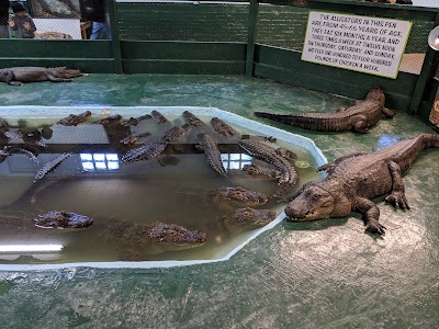 Arkansas Alligator Farm & Petting Zoo