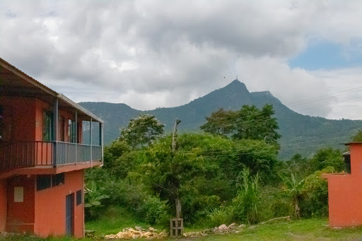 Las Mercedes Finca Cafetera