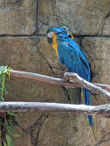 Tropics Café Gallery - United States