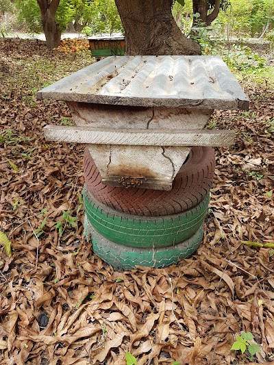Photos of MyFarm Nema Kunku