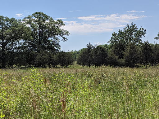 Shoal Creek Park