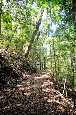 Dunumadalawa Forest Reserve, Author: Rangana Rajapaksha