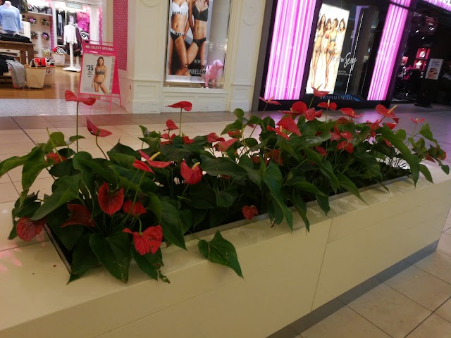 CF Fairview Mall