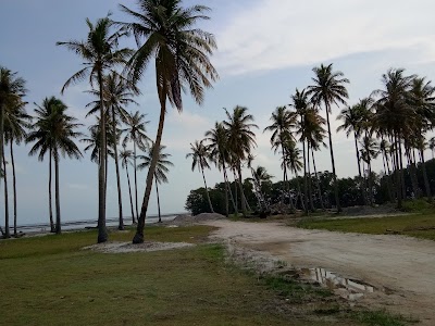 Photos of Bintan Mangrove And Fireflies Tour | Taxi Services