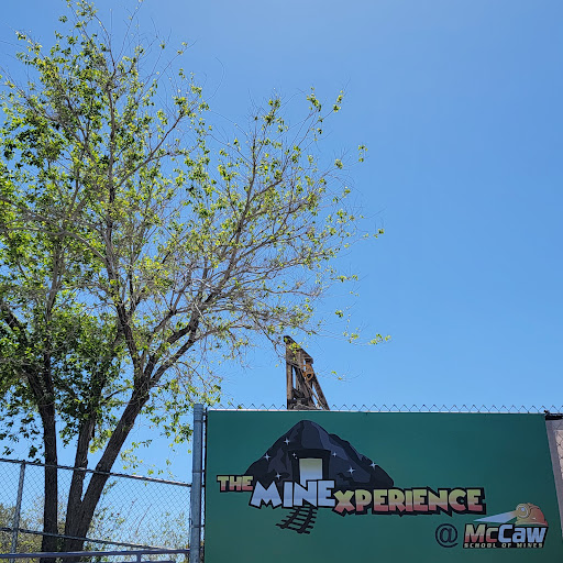 The Mine Experience - Thumbnail