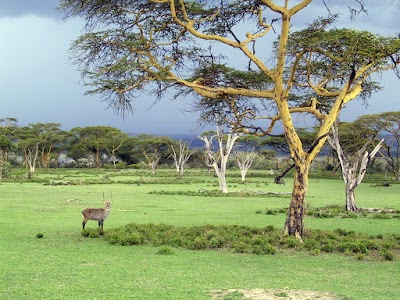 Photos of Crescent Island Game Sanctuary