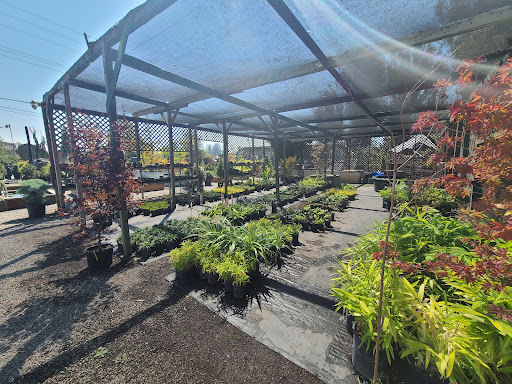 Pond & Garden - Thumbnail