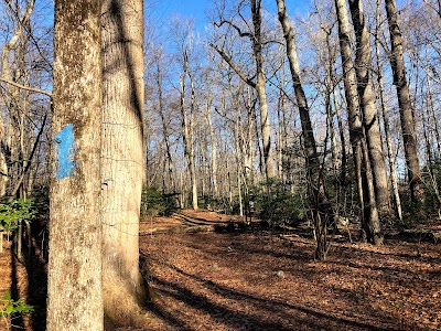 Babcock Preserve