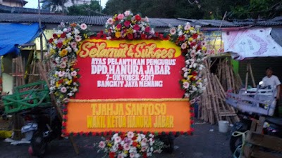 Photos of Vanda Jaya