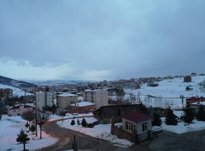 Şiran Mustafa Beyaz Meslek Yüksekokulu