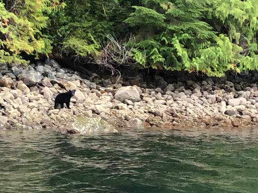 Clayoquot Wild - Thumbnail