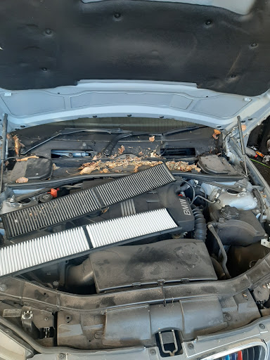 Reliance Autos - Thumbnail