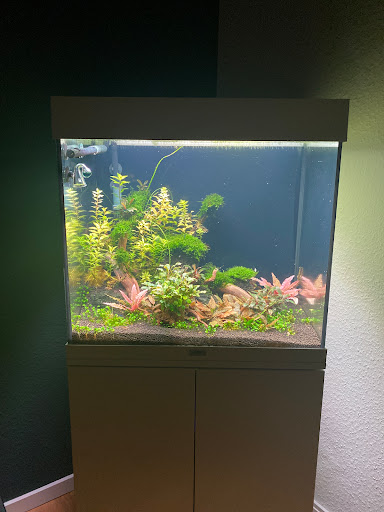 Shrimpfarm-Frankfurt - Thumbnail