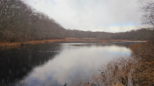 Hidden Lake Walking Trails Gallery - United States