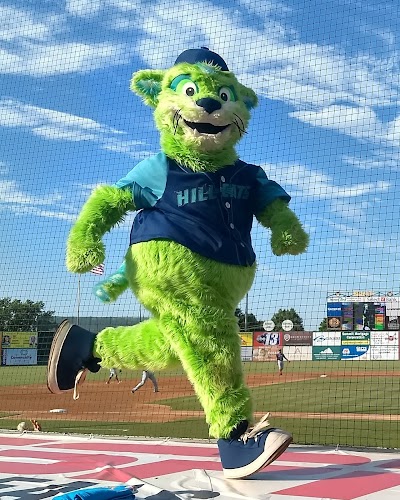 Lynchburg Hillcats