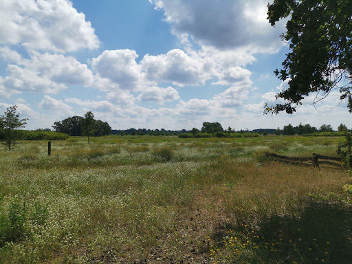 Semmerweg - Visual