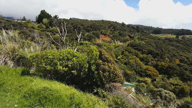 Manu Bay Reserve