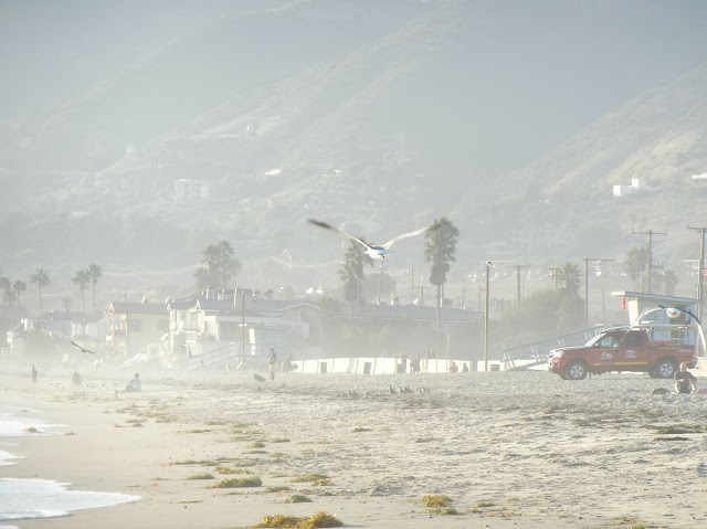 Zuma Beach