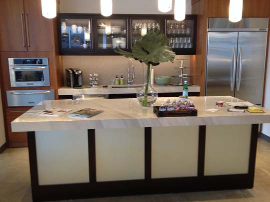 Beautiful kitchen in newly renovated Houston house